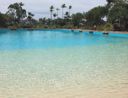 The beach pool at the InterContinental Sanctuary Cove Resort which was recently repainted with LUXAPOOL® Epoxy pool paint in Adriatic