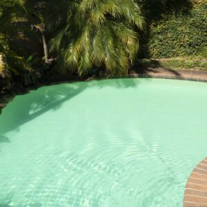 Domestic pool resurfaced with luxapool brook green