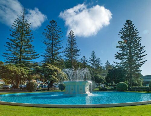 LUXAPOOL® Pacific Blue fountain – Tom Parker Fountain, Napier NZ
