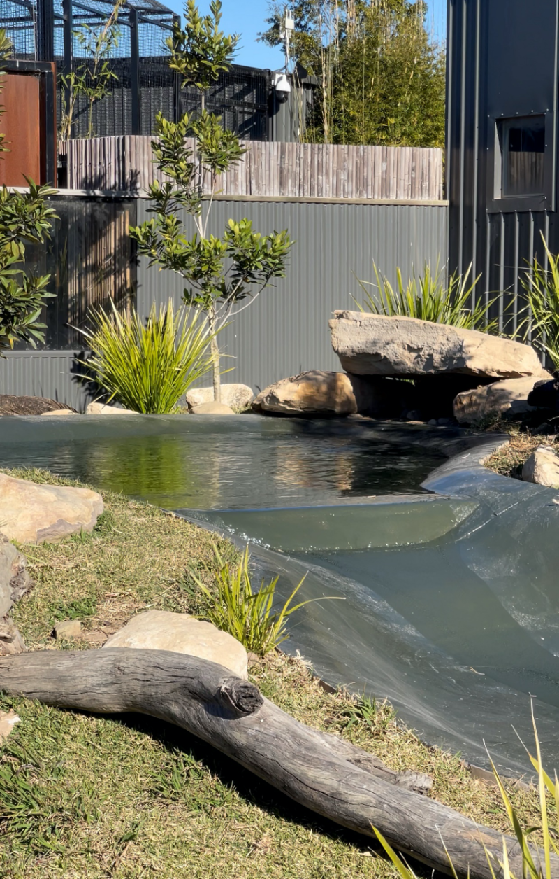 LUXAPOOL® Pool Paint LUXAPOOL Epoxy Pool Paint may be used to