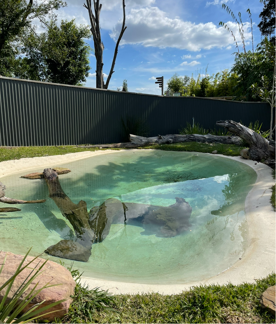 Otter Pool at Sydney Taronga Zoo - before
