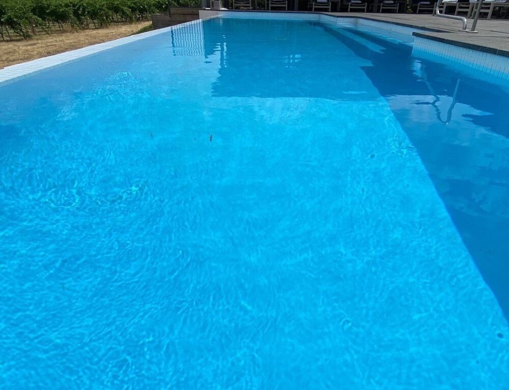 Domestic pool painted with LUXAPOOL epoxy® Misty Blue