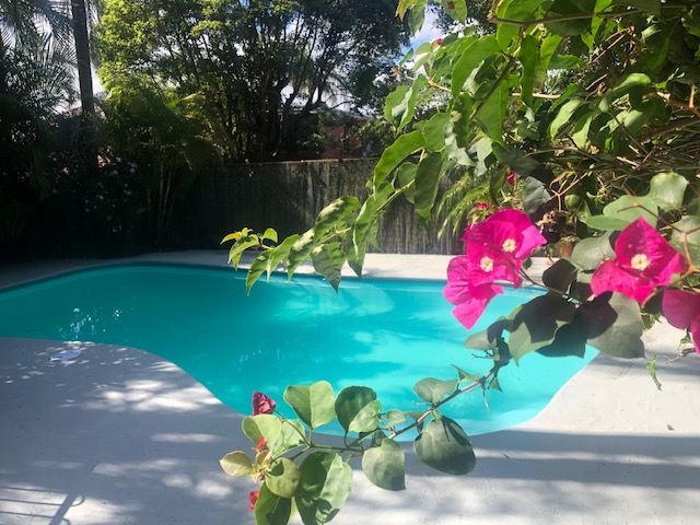 This kidney shaped, pebblecrete swimming pool is painted with LUXAPOOL Epoxy pool paint in Crestwood colour.